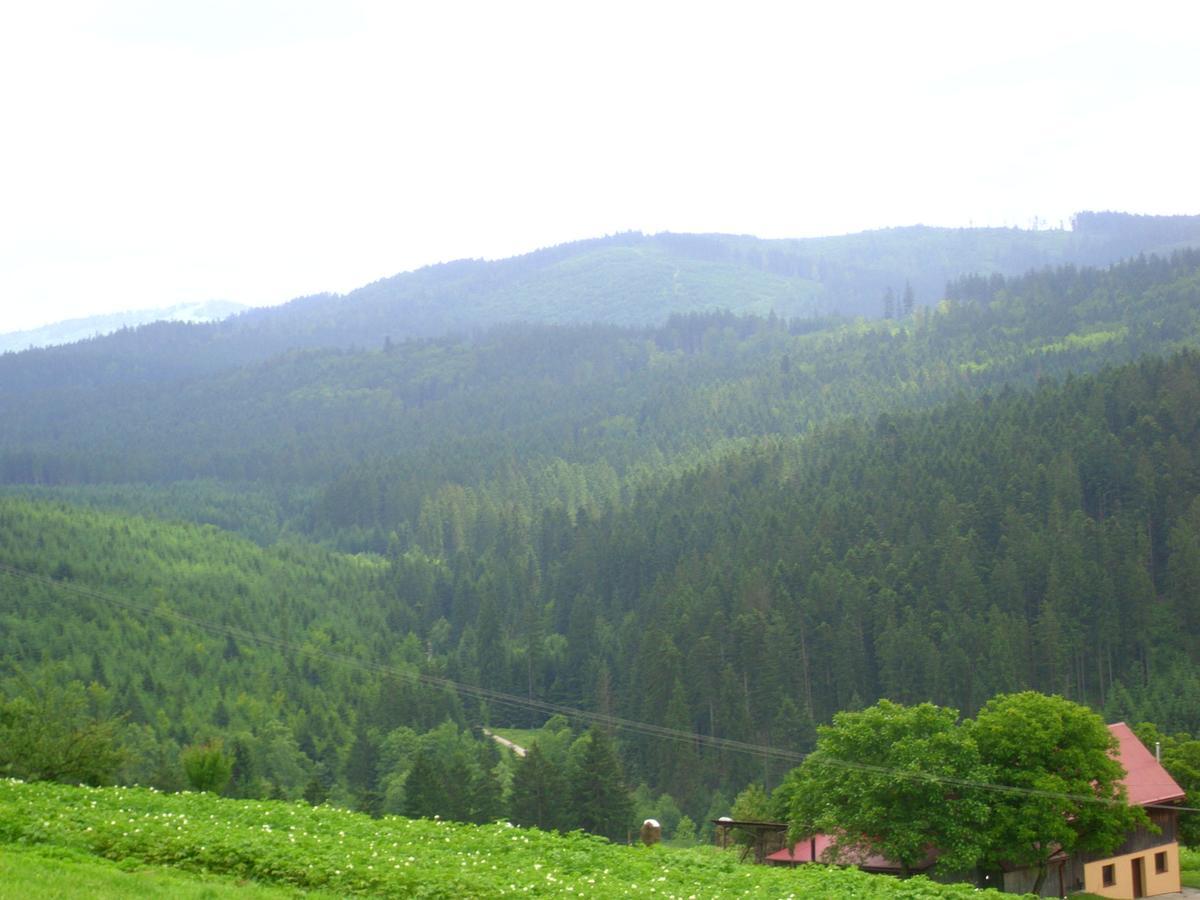 Domek U Malysza ايستينبا المظهر الخارجي الصورة
